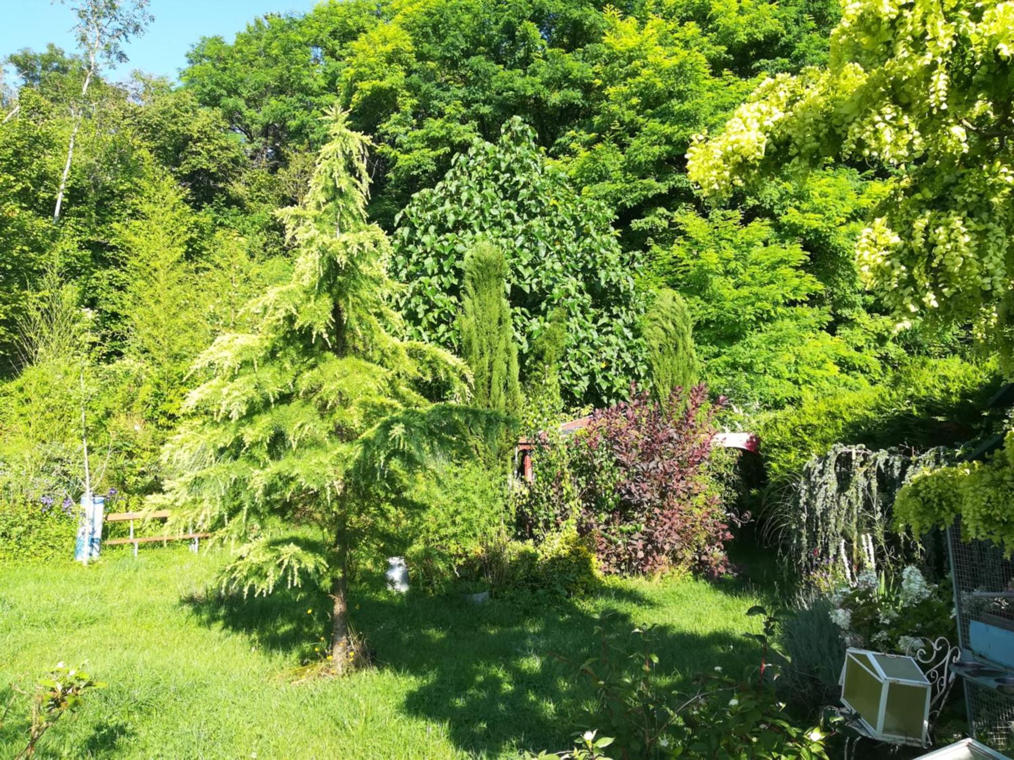 Apiculteur Loue 2 Chambres Dans Cadre Verdoyant Pagny-sur-Meuse Esterno foto